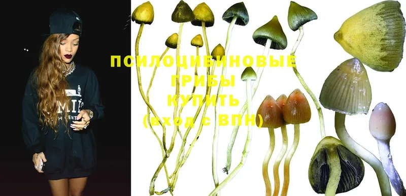 Галлюциногенные грибы Cubensis  Сосенский 